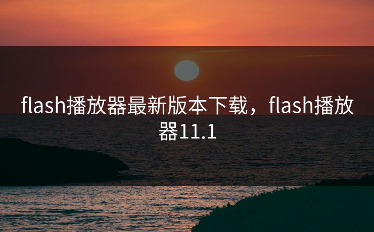 flash播放器最新版本下载，flash播放器11.1