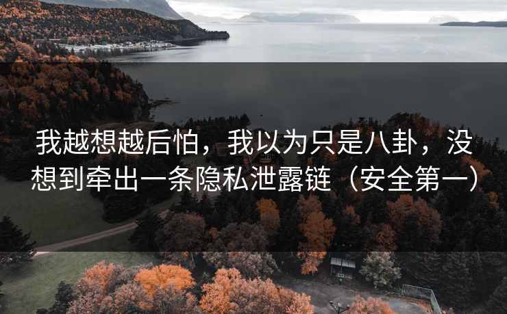 我越想越后怕，我以为只是八卦，没想到牵出一条隐私泄露链（安全第一）