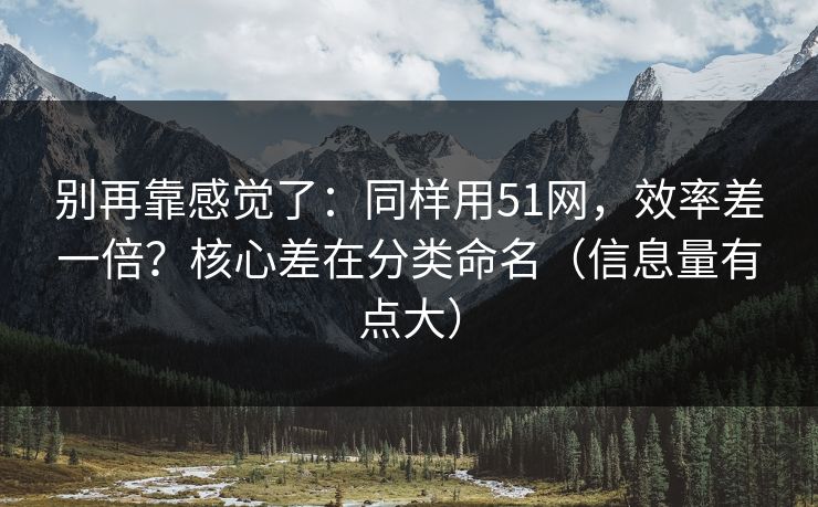 别再靠感觉了：同样用51网，效率差一倍？核心差在分类命名（信息量有点大）