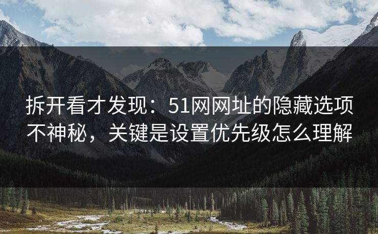 拆开看才发现：51网网址的隐藏选项不神秘，关键是设置优先级怎么理解
